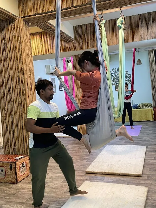 The Pink Lotus Academia- Yoga, Music and Dance