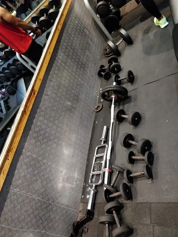 WAY TO FITNESS - Gyms in Colaba, Mumbai.