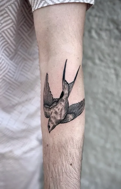 INSANE TATTOO SHOP