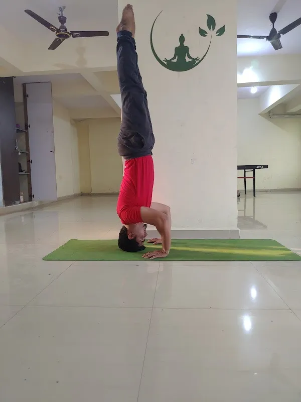 Yoga classes offline and online