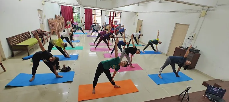 Yoga classes offline and online
