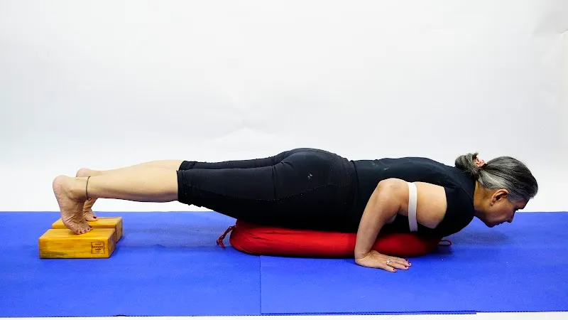 ASMYI Yoga & Therapy Center - Nirankari Colony