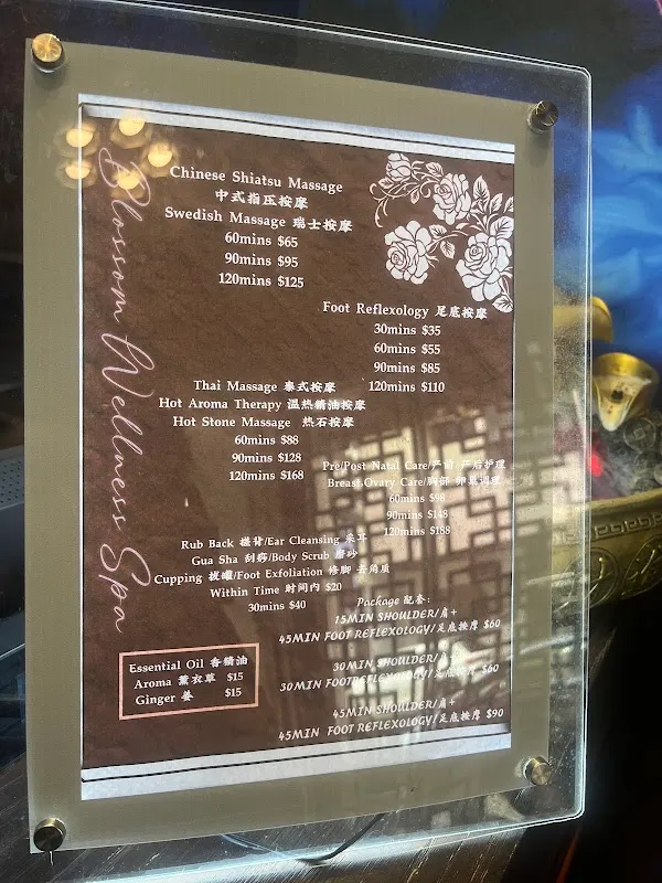 blossom wellness spa