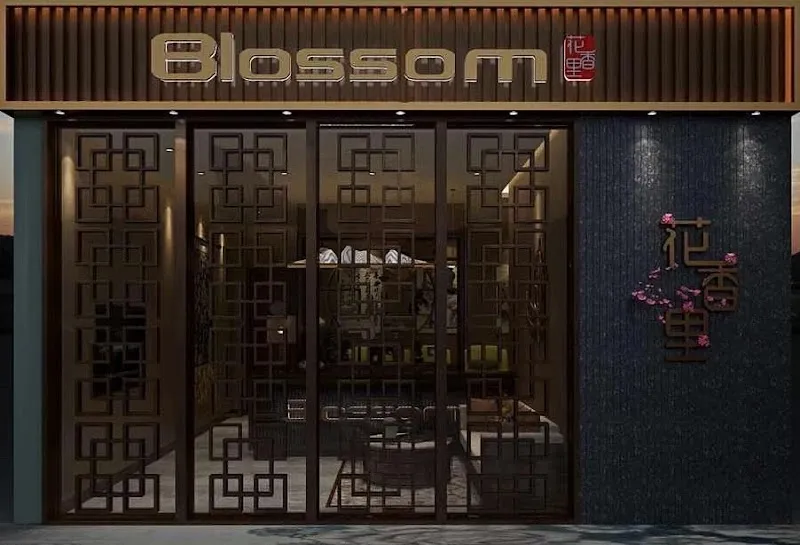 blossom wellness spa