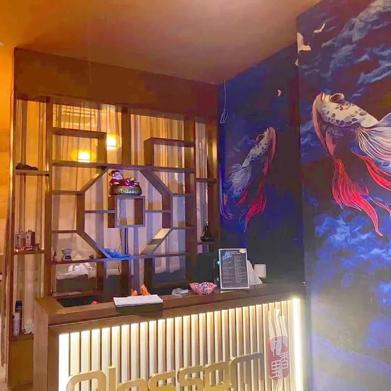 blossom wellness spa