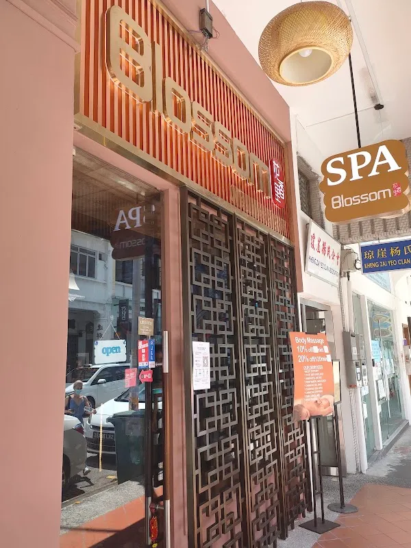 blossom wellness spa