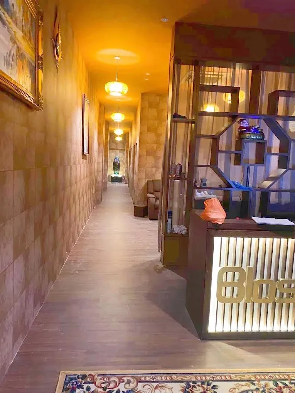 blossom wellness spa