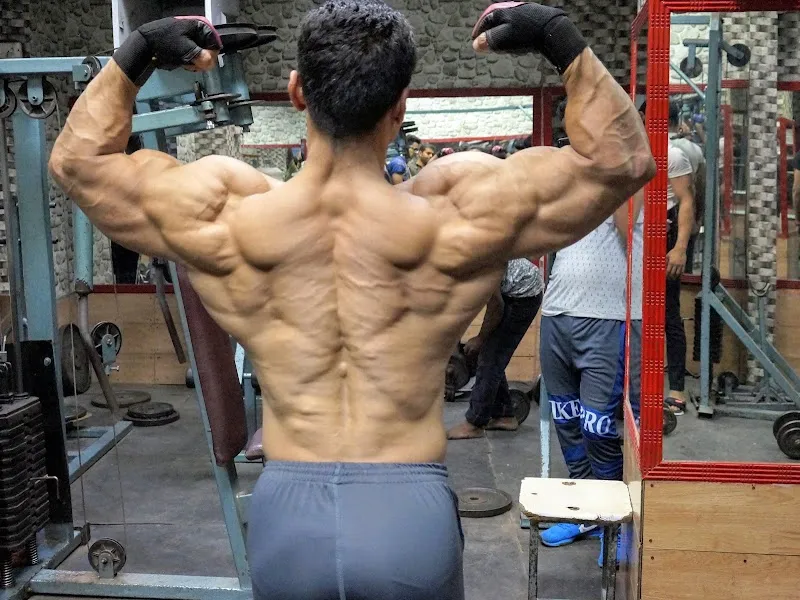 The world gym