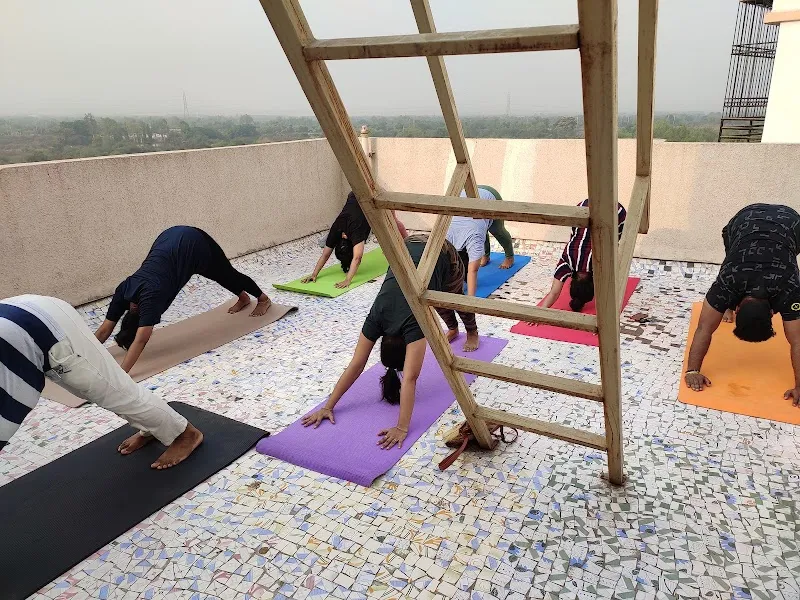 The Yoga Art