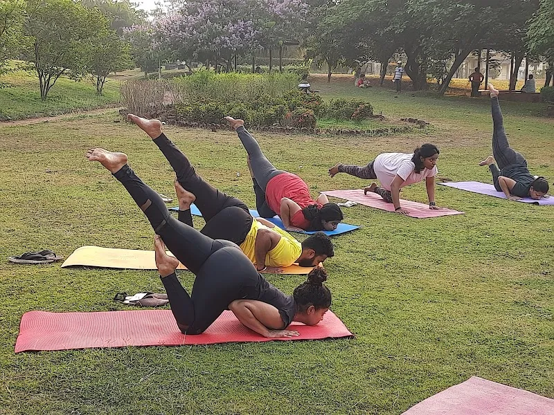 The Yoga Art