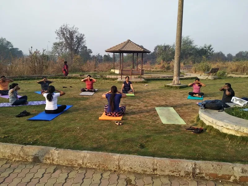 The Yoga Art