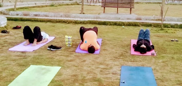 The Yoga Art