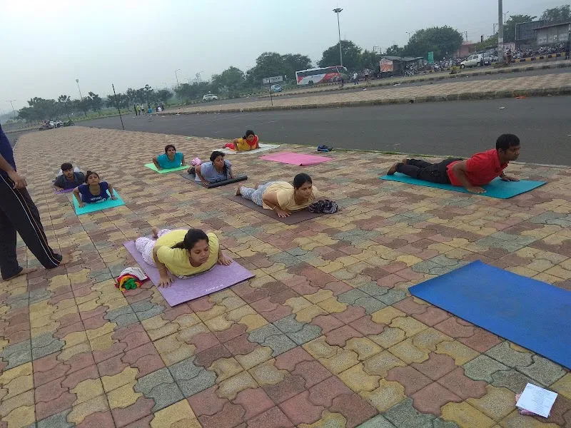 The Yoga Art