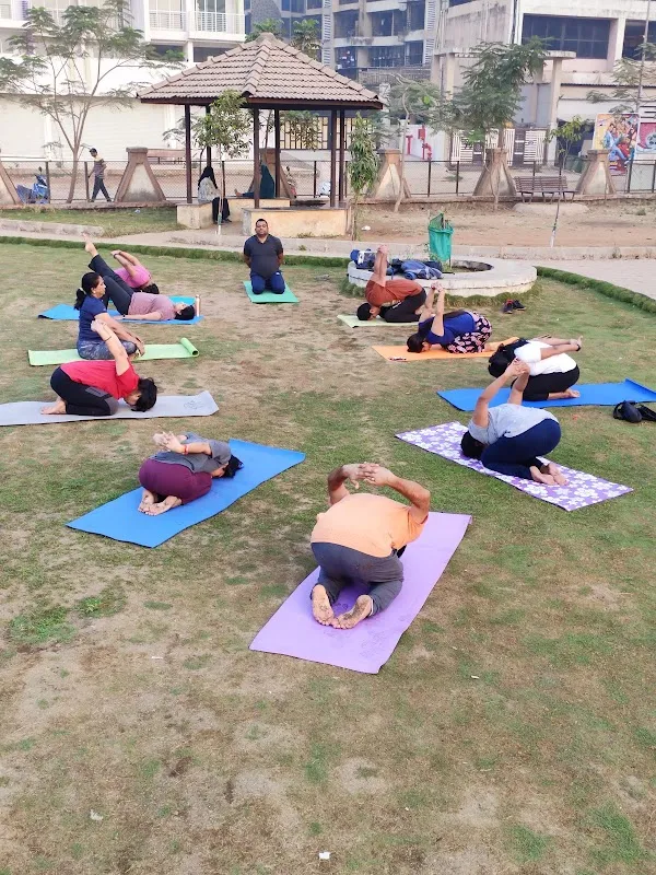 The Yoga Art