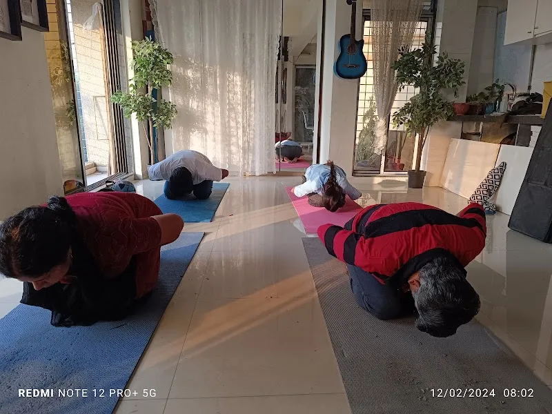 The Yoga Art