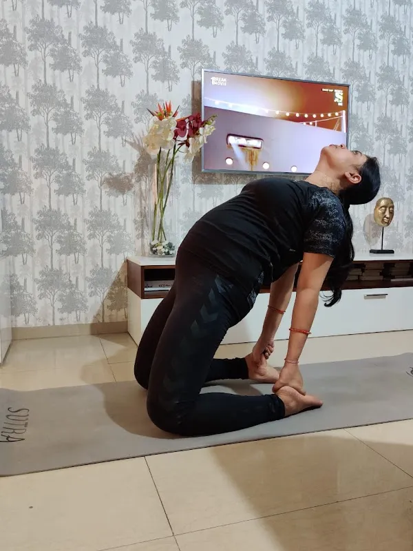 The Yoga Art