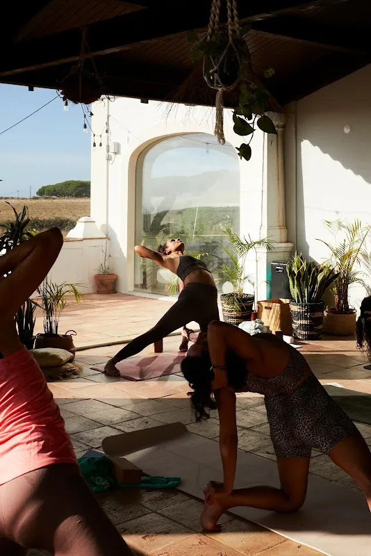 Studio Alya | Yoga, Poésie Corporelle & Exploration De Soi.