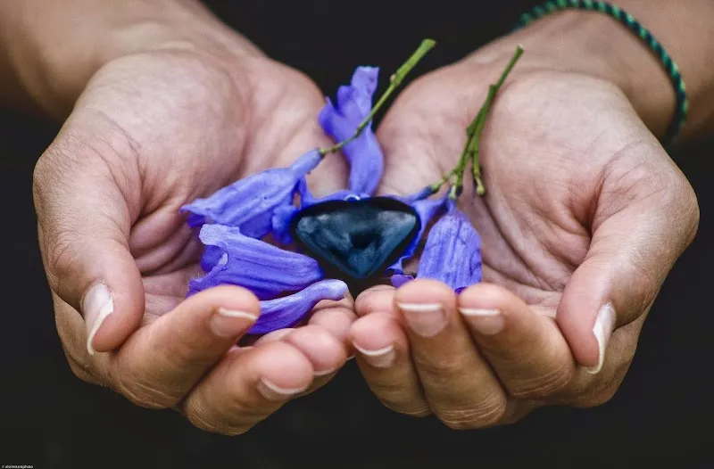 Studio Alya | Yoga, Poésie Corporelle & Exploration De Soi.