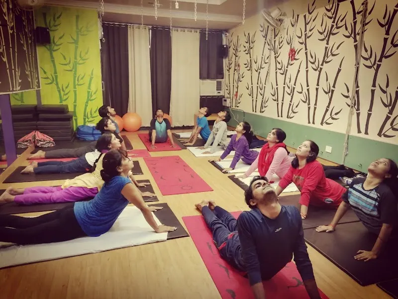 Sadhak Anshit Yoga Foundation