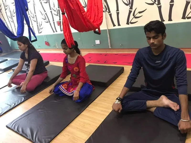 Sadhak Anshit Yoga Foundation