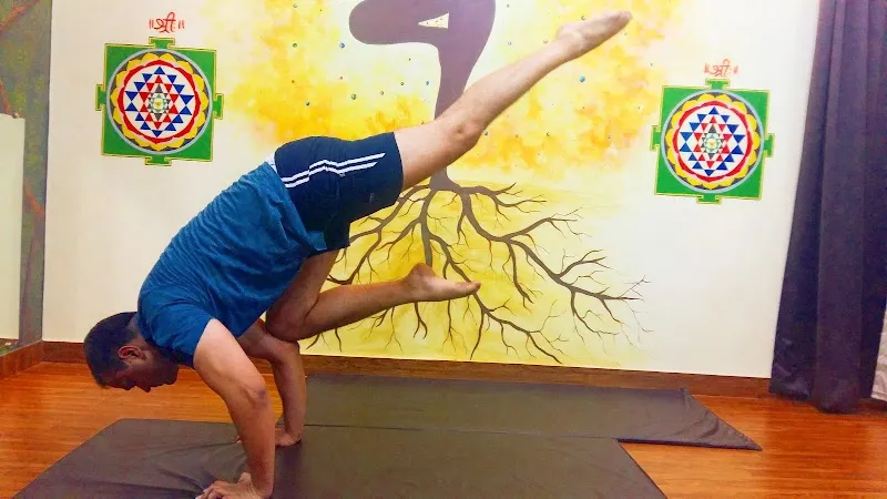 Sadhak Anshit Yoga Foundation