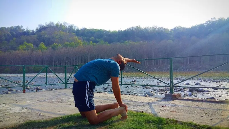 Sadhak Anshit Yoga Foundation
