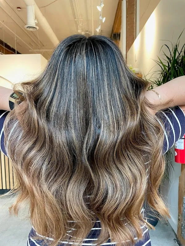 Sensa Salon