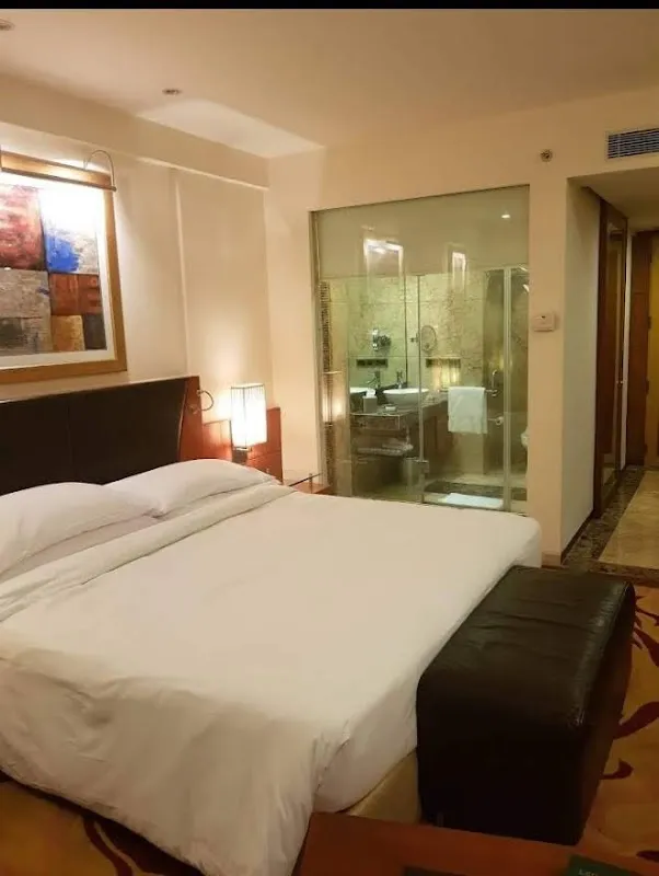 Vedanata Spa in Mahipalpur