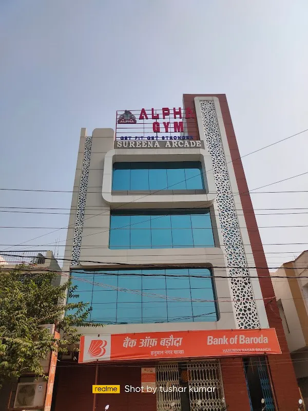 ALPHA GYM