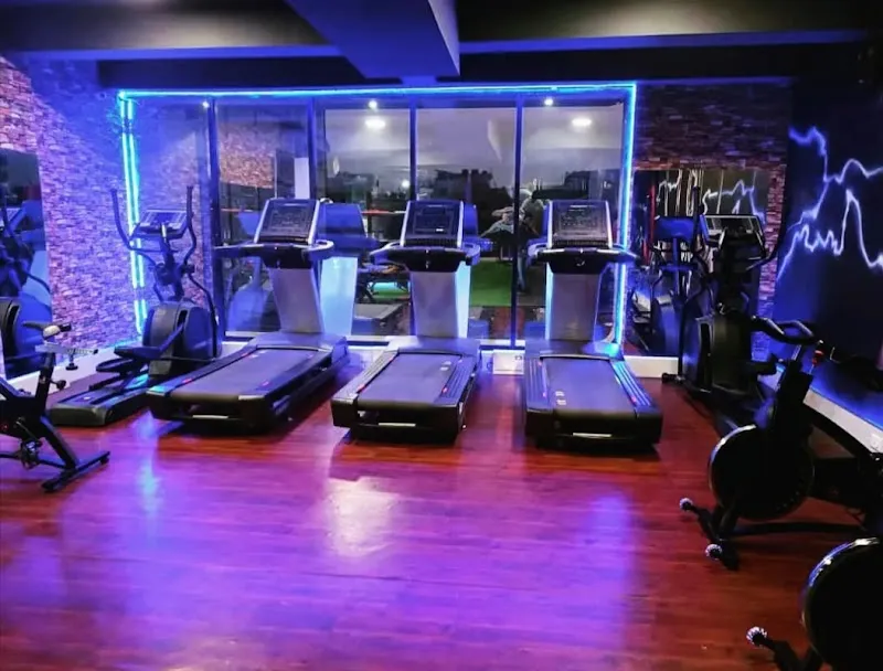 ALPHA GYM