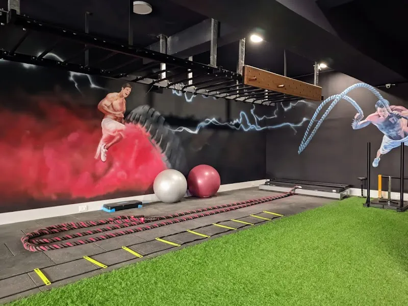 ALPHA GYM