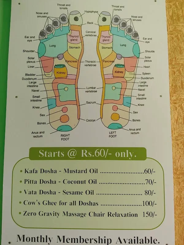 Anubhav Holistic Wellness Hub