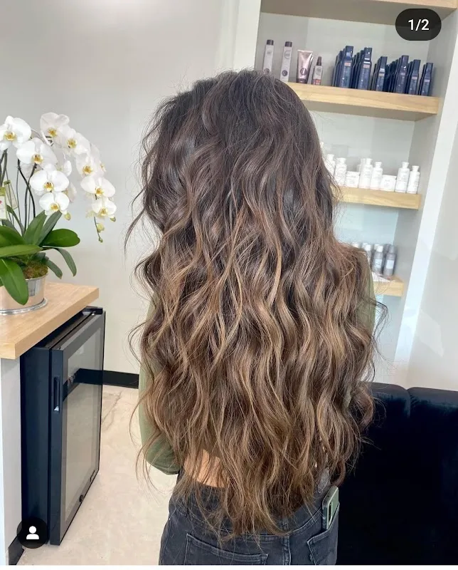Layne & Co. Salon