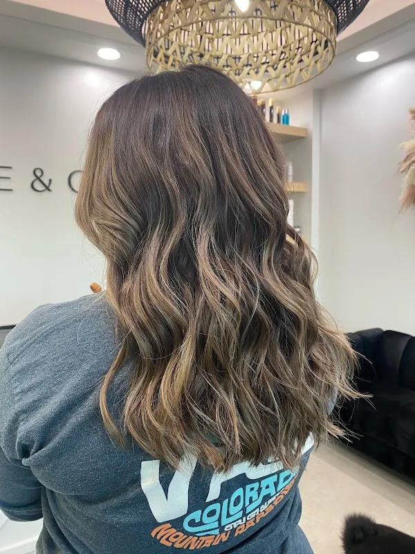 Layne & Co. Salon