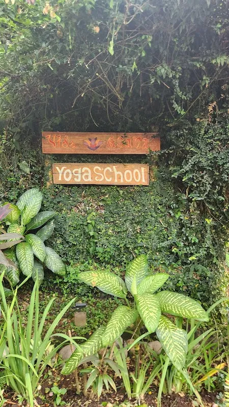 Total Balance Yoga & Fitness Studio