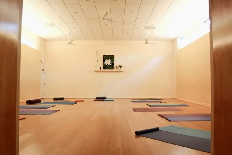 Vista Yoga