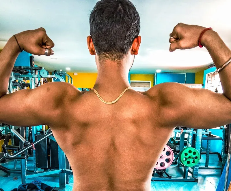 Muscle gym