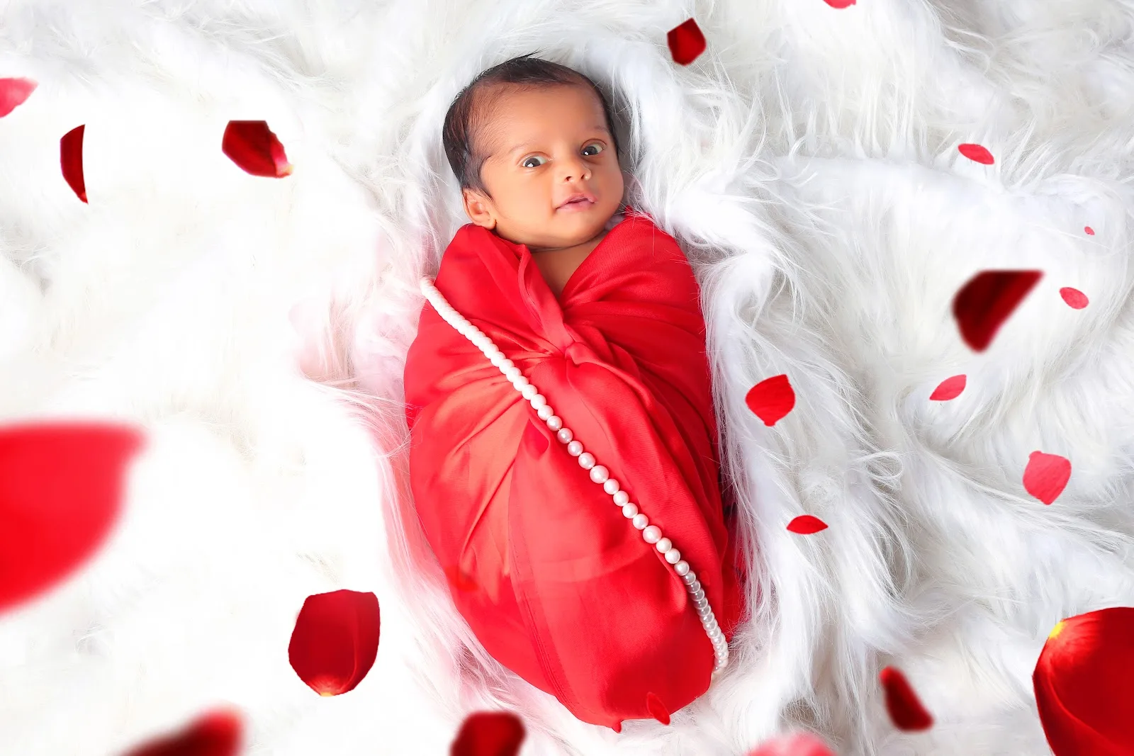 Royal Photo Production