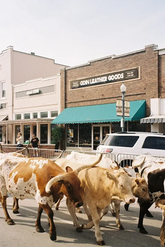 Goodman Film Lab