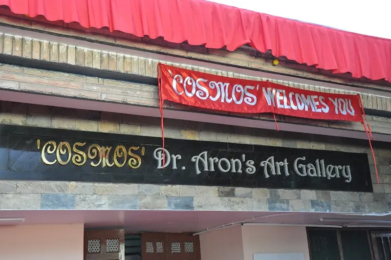 Cosmos Art Gallery