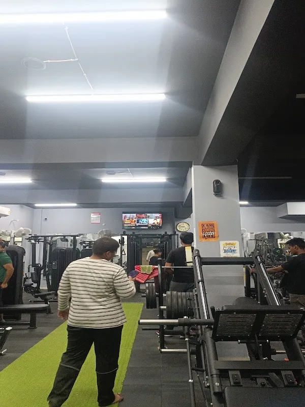 The Fitness Station-Your Health Partner