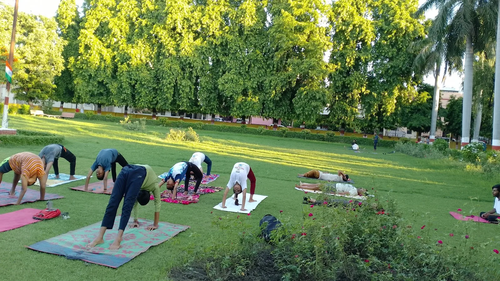 1.0 DIVY ASHISH YOGA SANSTHAN ( AN Yoga Institute)