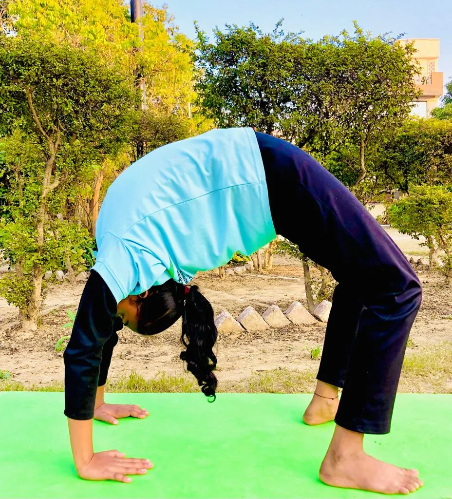 1.0 DIVY ASHISH YOGA SANSTHAN ( AN Yoga Institute)