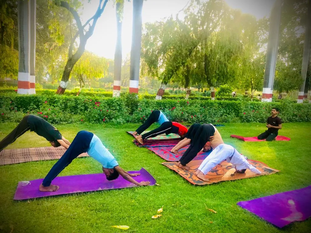 1.0 DIVY ASHISH YOGA SANSTHAN ( AN Yoga Institute)