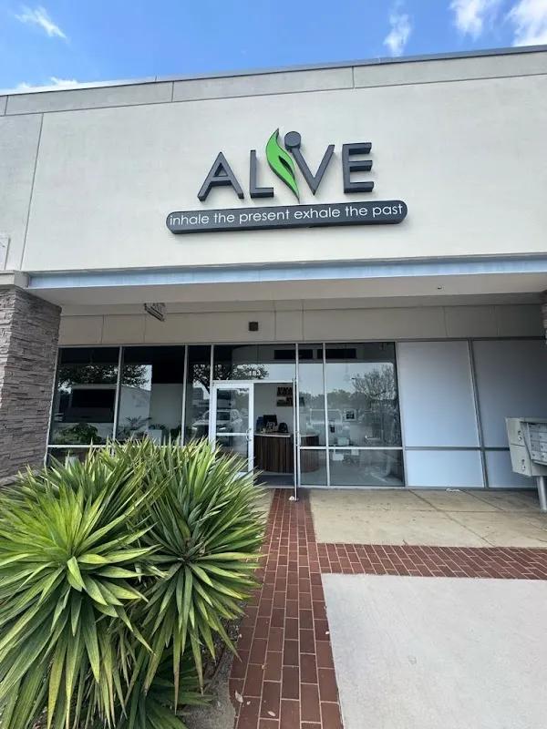 ALIVE Yoga - Plano