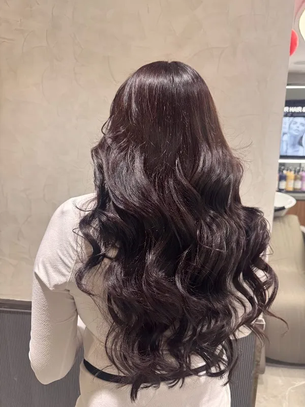 Toni and guy