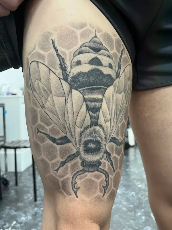 Ink Illusions