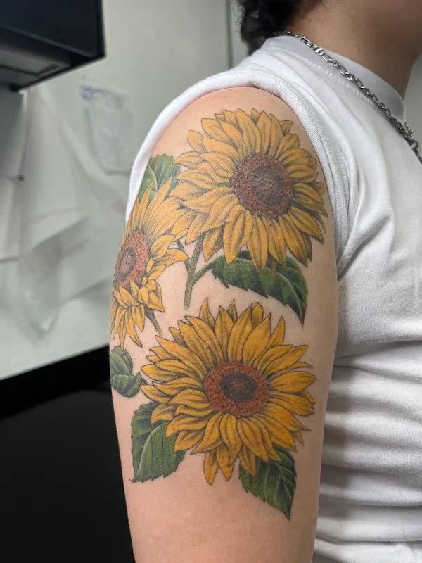 Ink Illusions