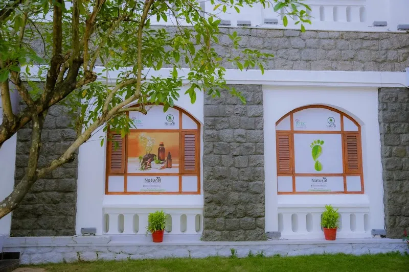 Natural Ayurvedic & Wellness Spa