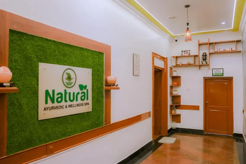 Natural Ayurvedic & Wellness Spa